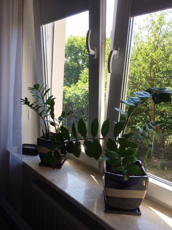 Apartament "Cleopatra 2" Z Garazem, Faktury Vat Apartment Келце Екстериор снимка